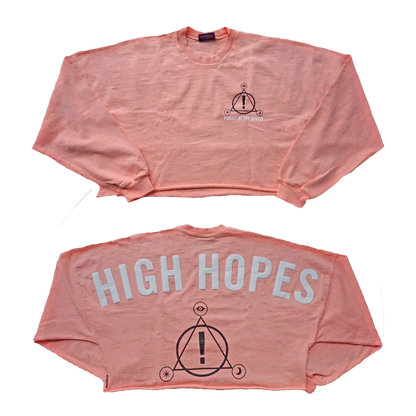 Pink cropped sweatshirt with ’HIGH HOPES’ text and a geometric logo design on front and back.